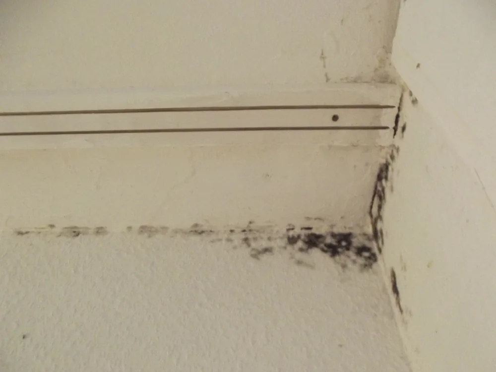 Technician in protective gear removing a mold-damaged wall in a Mills River home
